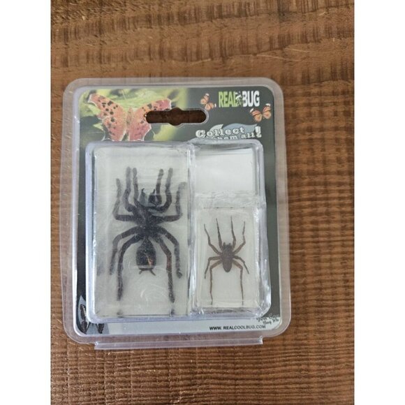 REALBUG 2 Pc Tarantula & Spider Paperweight Collection - Picture 2 of 4